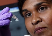 伊波拉疫情失控， 未來恐將威脅2200萬人