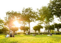 體驗新生活， Let's picnic!