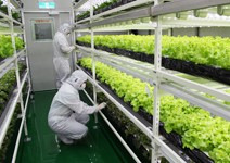 以前賣商品，現在行銷「感動經驗」