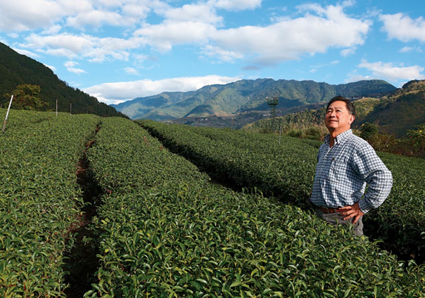 張欽兆 倫敦五星酒店 愛上梨山茶