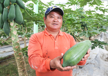 楊乾德 全台唯一銷日 留淨土給子孫