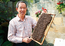 張清波 一瓶蜂蜜1500元不夠賣