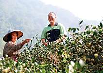 張福欽 有機栽種20年 學會共生