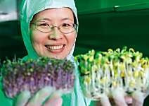 劉金枝 花300萬 蓋無塵室種芽菜