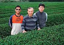 林文經、林和春 1斤40萬還買不到的茶