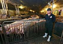 梁信郎 環保人道飼養 豬肉是甜的