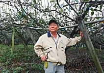 鄭茂裕 比高海拔還甜的平地高接梨