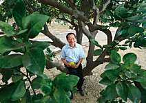 郭義雄 天皇文旦 相傳四代的美味