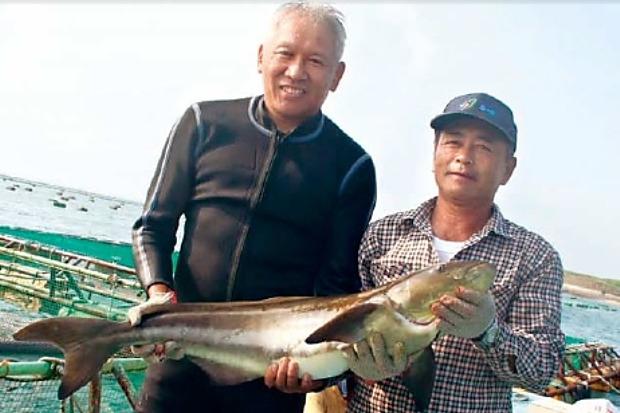 湧升海洋， 讓下一代也能嘗「鮮」