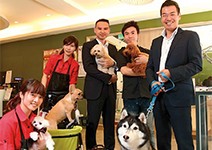 啟動四階段，搶占500億「毛商機」