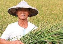 百大黃金農夫