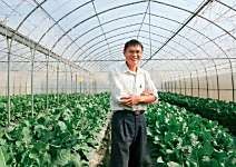 鄭聰祥 獨創直立栽種 產量多六倍