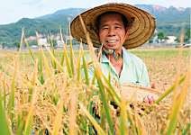 陳永山 用良心種的米 每口都健康