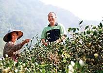 張福欽 有機栽種20年 學會共生