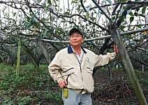 鄭茂裕 比高海拔還甜的平地高接梨