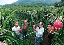 李清秋 20年功力 造就紅寶石巨星