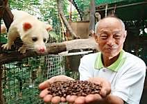 阮勇光 在舌尖上跳舞的麝香咖啡