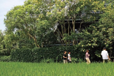 把自然帶進都市，把人帶回自然