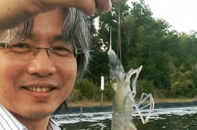 莊錫山看準獨門生意，有機藍蝦產量全球第一