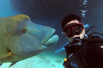 憑潛水攝影本事，吳至軒從打工仔變主管