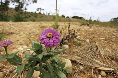 不只良田流失！代價超出你我想像