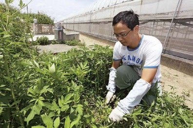 沒被汙染的田難找，墳墓旁才有好地
