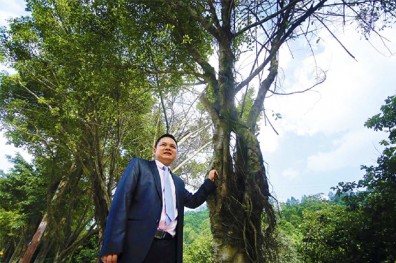 中風也要拚社企 種樹拯救霧霾家園