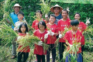 環境、生活即教育 青蛙山下的迷你森林小學