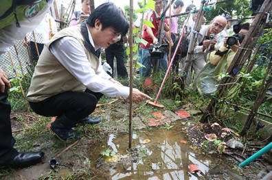 登革熱失控 人為疏失惹的禍？
