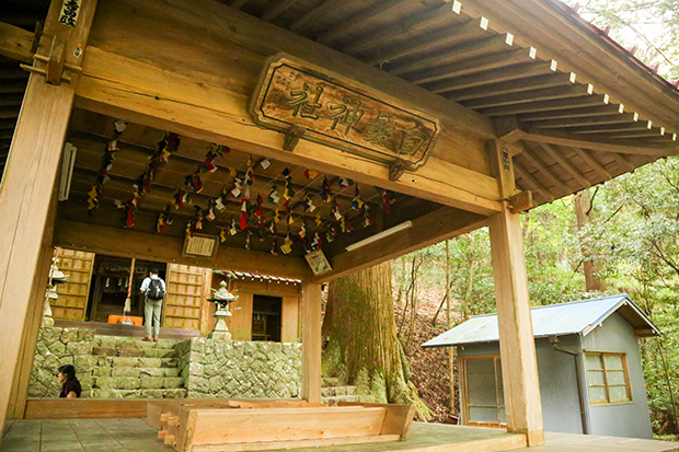 傳統藝能當賣點，一支山葵活化老村莊
