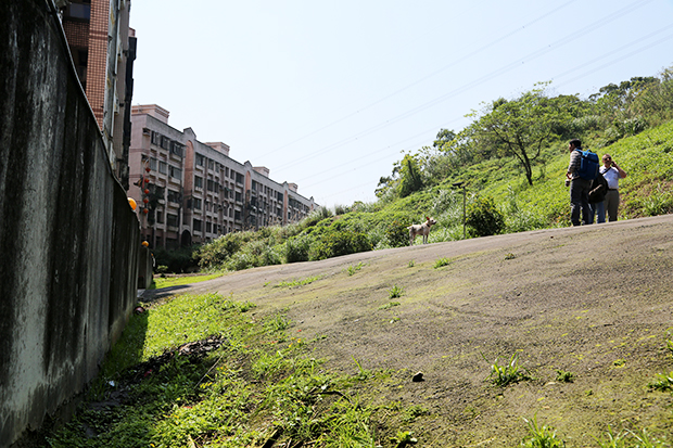 土壤液化可補強，敏感地質潛藏更大危機