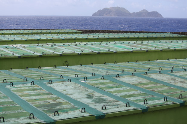 沒有最終處置場，核電廠除役玩假的？