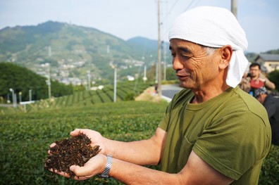 遵循古法種好茶，名列世界農業遺產