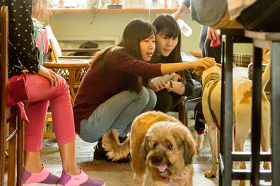 認養經濟 讓愛相遇