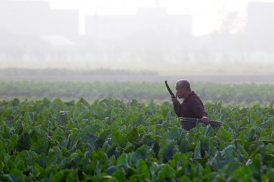 台灣九大死因 都是空氣惹的禍