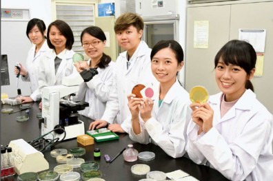 新興領域受關注 發展更多元