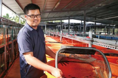 科技與觀光農業興起 為人生加值