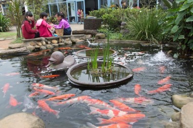 沒鐘聲、沒課表、沒課本 生活處處是教材