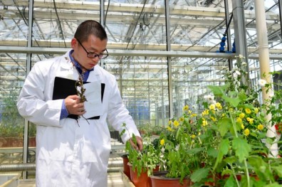 安麗看好中國市場 成立無錫植物研發中心