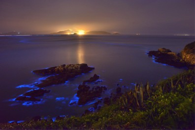 觀光休閒進步最多 經濟就業最堪慮