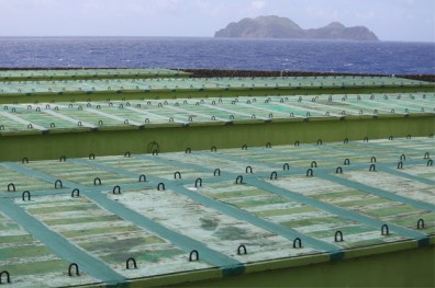 沒有最終處置場，核電廠除役玩假的？