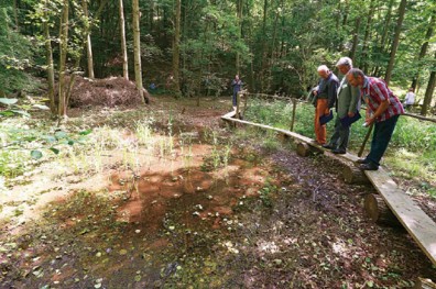 只栽植當地物種，捍衛生態拚永續