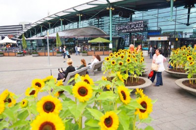 打造產業生態圈 機場變身環保實驗場
