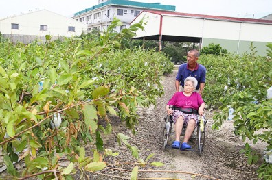 30年發掉9237億 老農津貼何時步正軌？