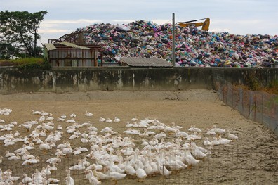 花45億建焚化廠 垃圾為何變全台遊牧族？