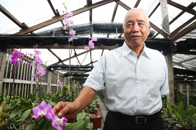 劉定榮培育蘭花一甲子 堅持根留台灣