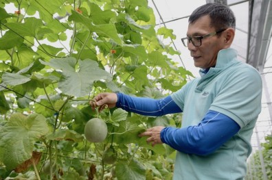 四招救農業 用智慧戰勝天氣