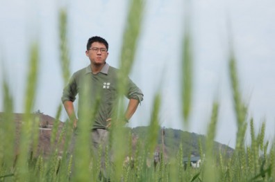 復耕台灣五穀雜糧 博士種田照樣精采