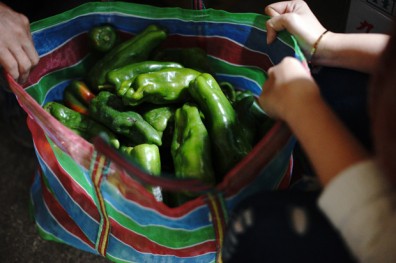 從源頭減量 讓惜食變習慣