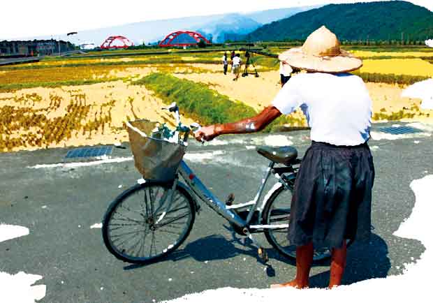 「幸福」的假農民與「不幸」的台灣農業